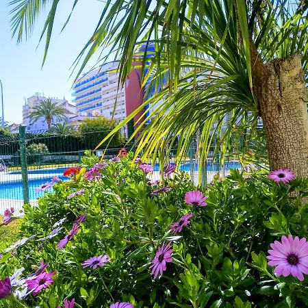 Apartment Apartamento Con Piscina Y Terraza Junto A La Playa *
