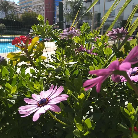 Apartamento Con Piscina Y Terraza Junto A La Playa Apartment